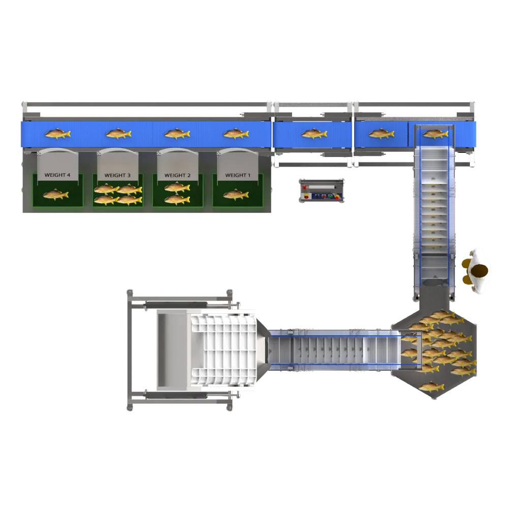 Fish Sorter Machines (2)