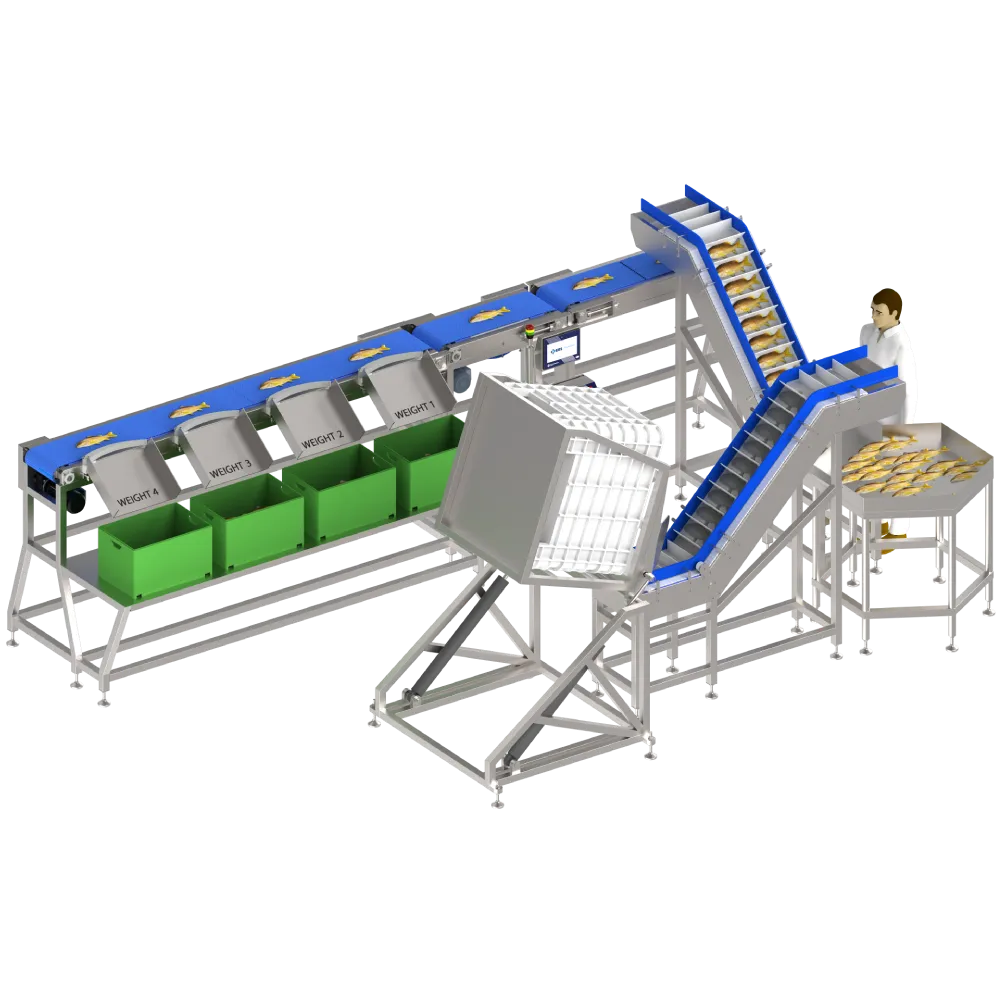 Fish Sorter Machines (1)